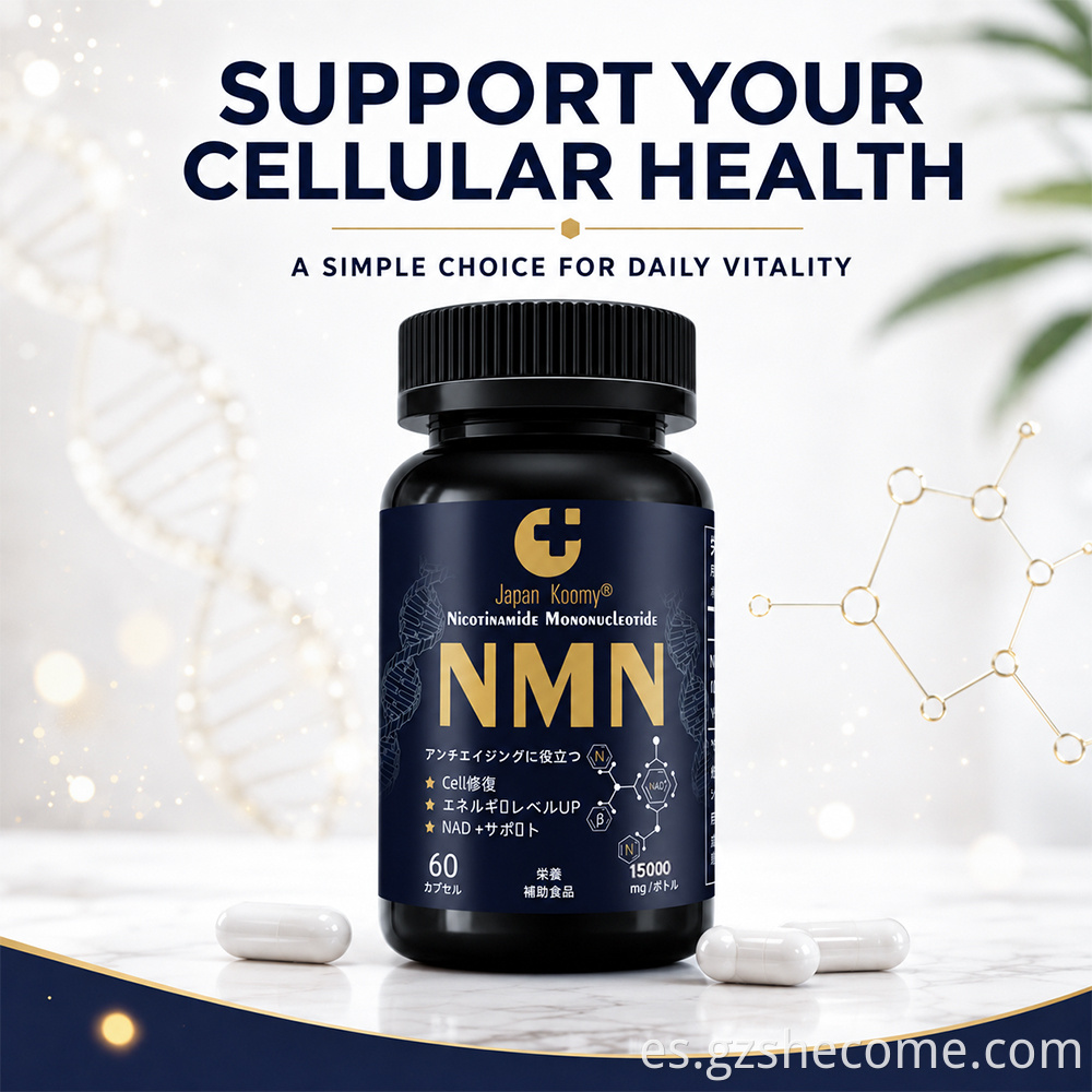 NMN 15000mg Capsules9